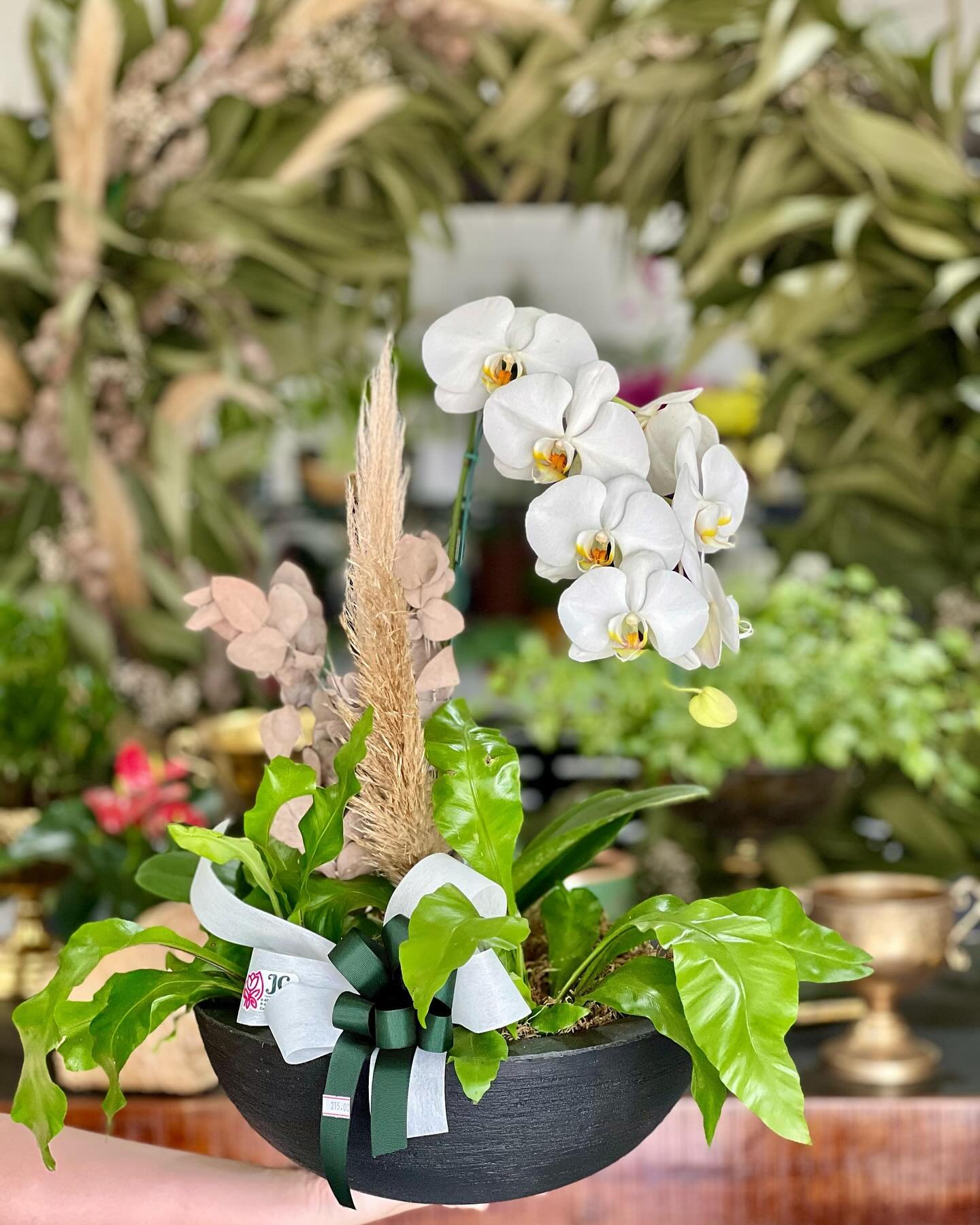 Arranjo de orquídea branca em vaso com plantas JC Flores